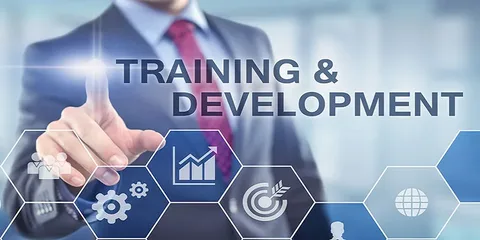 Empowering Growth: The Role of Training and Development Consultants