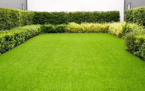 The Ultimate Guide to Lawn Turfs and Dealing with Poa Annua Grass