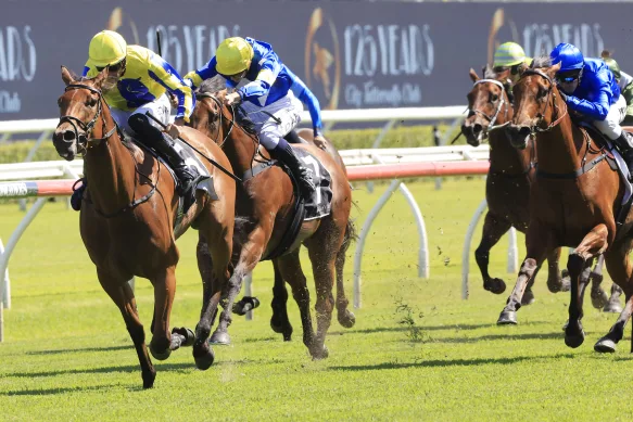 The Ultimate Guide to Horse Racing Betting Online: Tips, Odds, and Winning Strategies