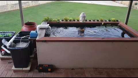 Everything You Need to Know About This Leading Koi Pond Filter